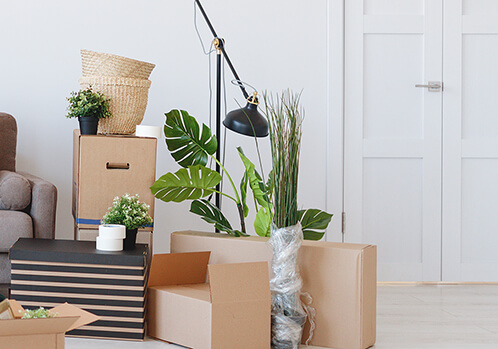 Teilbild eines Umzuges