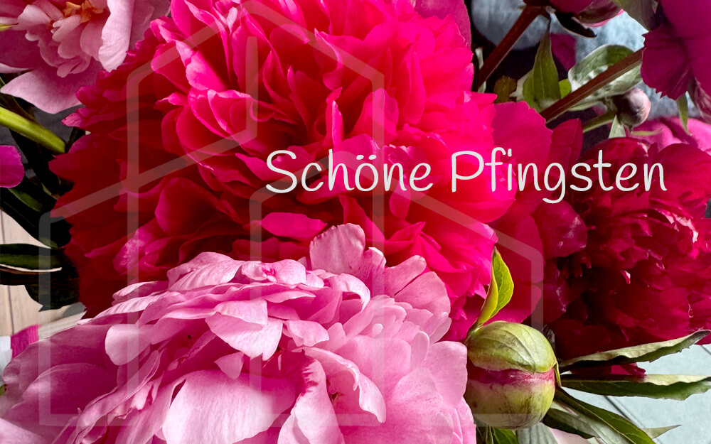 Blume im Schnee